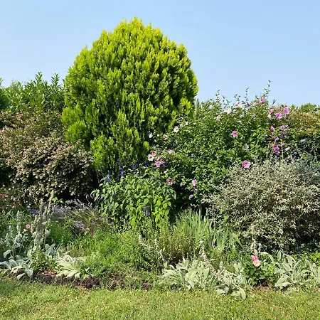 Sweet - 55m2 Appartment, Garden, Swimming Pool, Parking 4* Toulouse