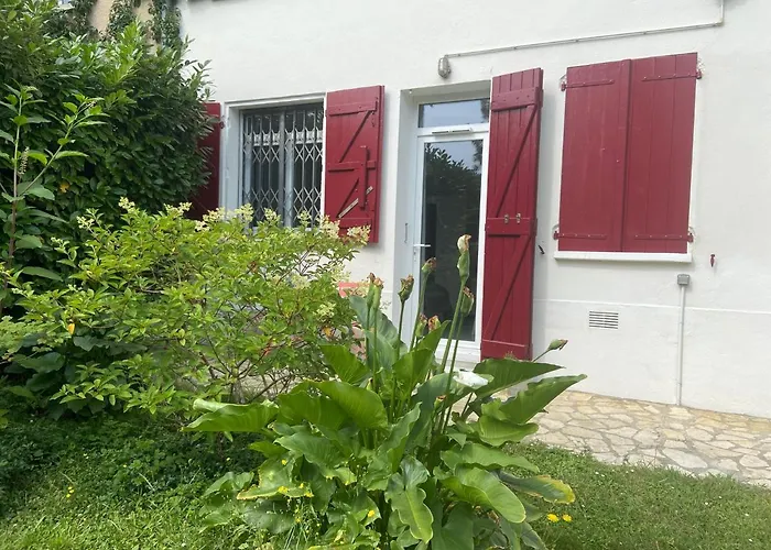 Gasthuis Sweet - 55m2 Appartment, Garden, Swimming Pool, Parking