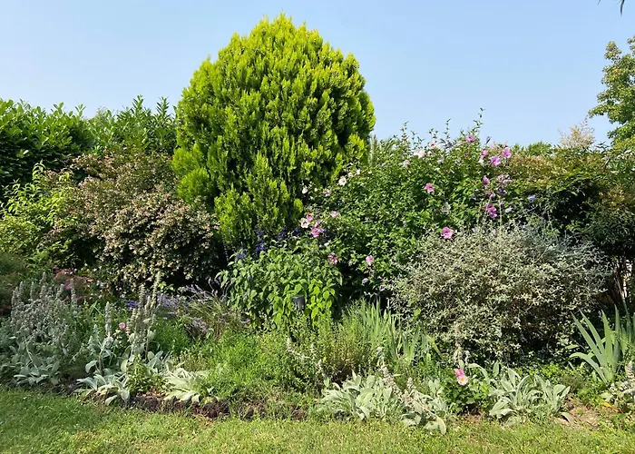 Sweet - 55m2 Appartment, Garden, Swimming Pool, Parking 4* Тулуза